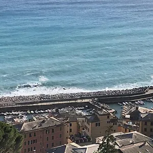 https://la-casa-del-marinaio-camogli.hotelitalianriviera.com